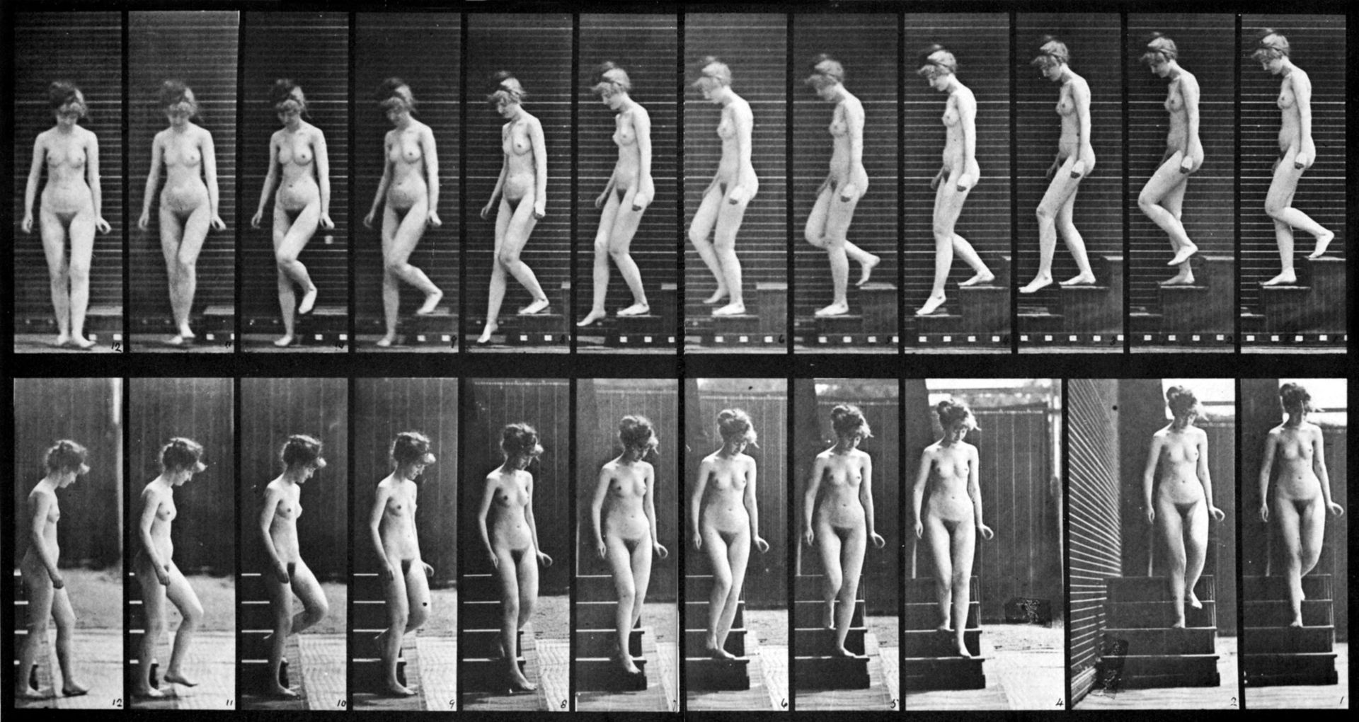 Female nude motion study by Eadweard Muybridge 2